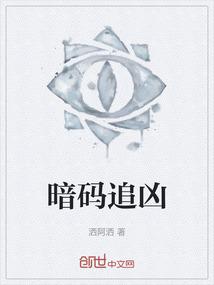 暗码追凶