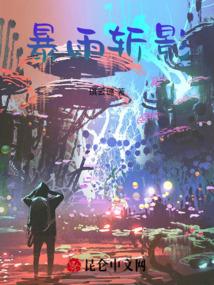 暴雨斩影