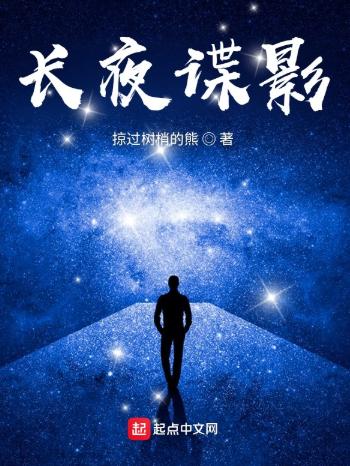 长夜谍影