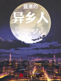 盛唐的异乡人
