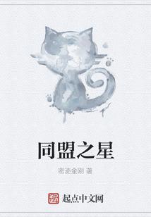 同盟之星