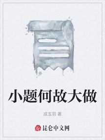 小题何故大做