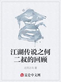 江湖传说之何二叔的回顾