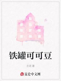 铁罐可可豆